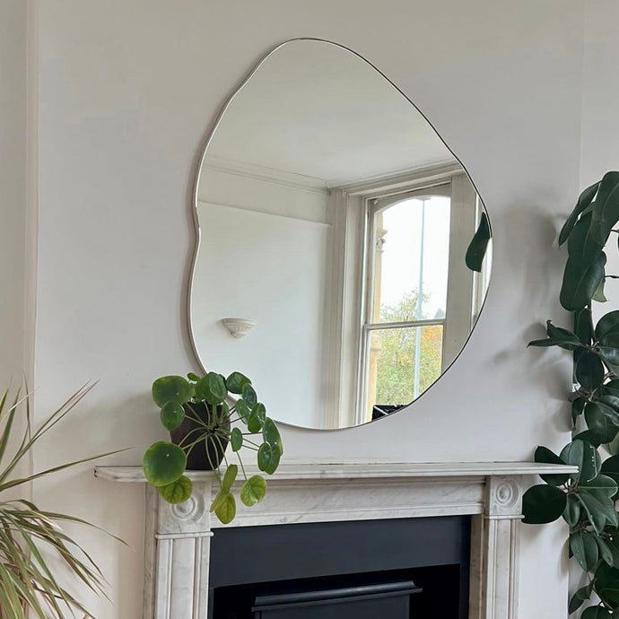 XL Ergon™ Organic Shaped Modern Mirror with a Bespoke Colour Frame