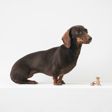 Handmade Bronze Cast Neska Miniature Dog Sculpture