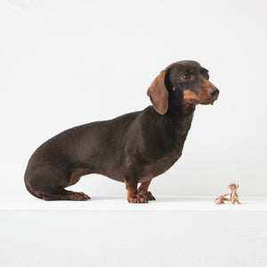 Handmade Bronze Cast Neska Miniature Dog Sculpture