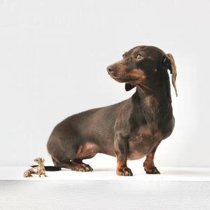 Handmade Bronze Cast Neska Miniature Dog Sculpture