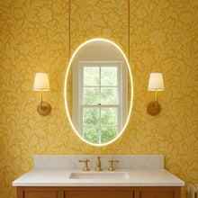 Ovalis™ Ceiling Suspended Oval Mirror with Front Illumination, Brass Frame
