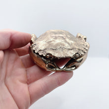Handcast Miniature Necora Crab Animal Bronze Sculpture by Javier de la Rosa