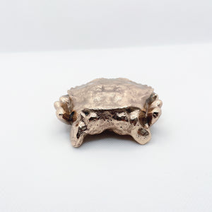 Handcast Miniature Necora Crab Animal Bronze Sculpture by Javier de la Rosa