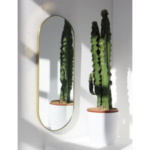 Capsula™ Capsule shaped Modern Mirror with an Elegant Brass Frame