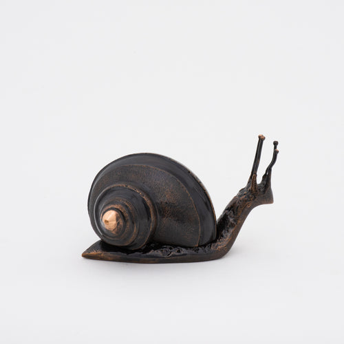 Handmade Cast Dark Bronze Snail Large Paperweight