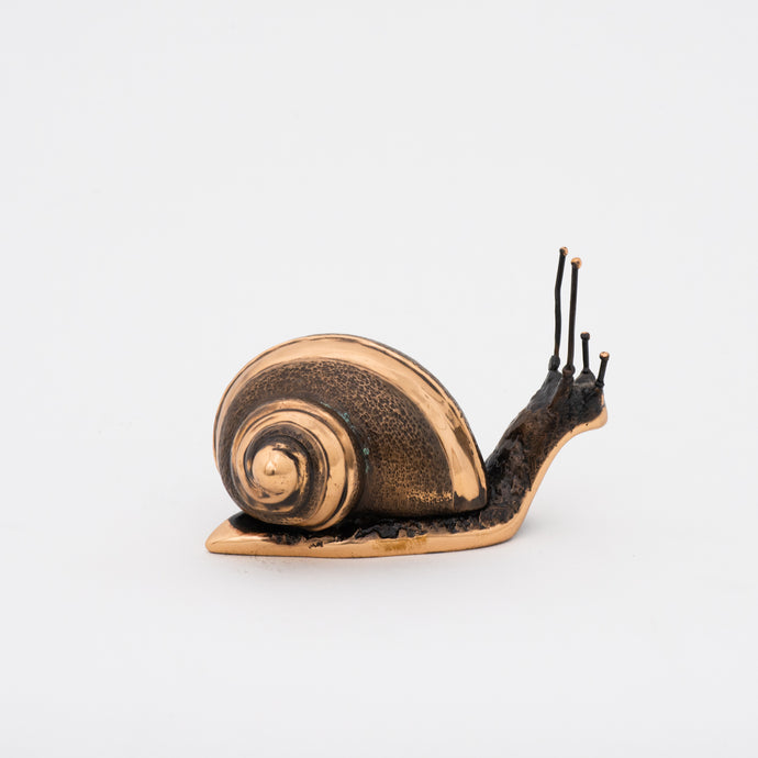 Handmade Cast Bronze Light Patina Snail Paperweight, Large