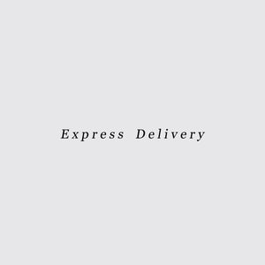 Express Delivery Option